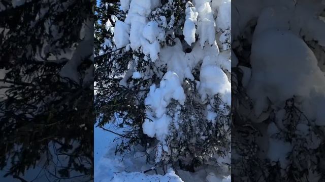 Иремель 24.02.2024