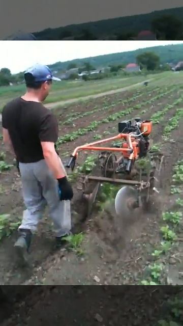 Окучивание картофеля