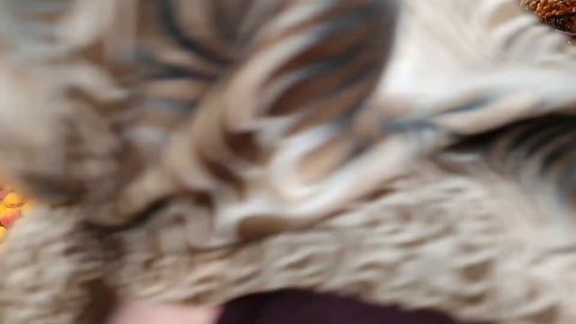 Eab9b7f83edd96378de075a5046678cd