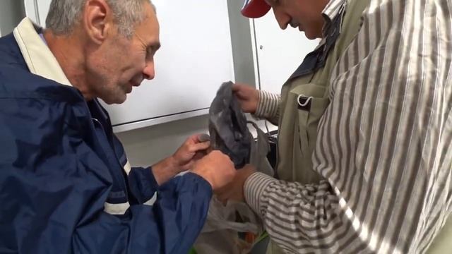 Кепка испугался Профессора ! У вас тут сумасшедший дом