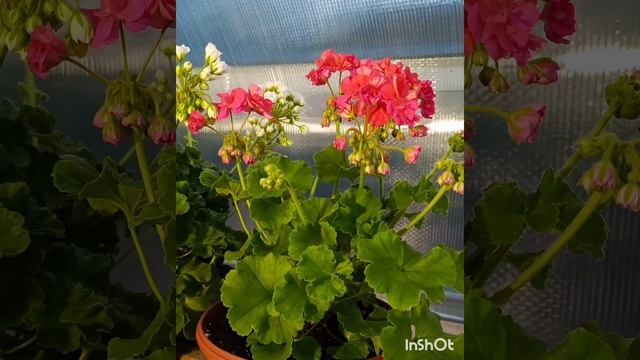 65c74348270e8099985710f20b849bfc