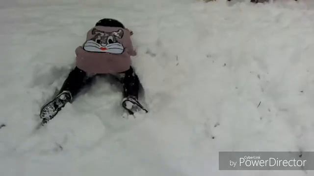 #кошечки#челендж Попробуй не окунись башкой в снег челендж