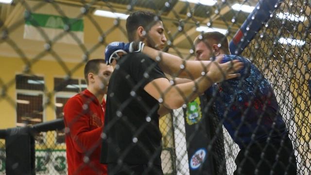 Чемпионат и Первенство Курганской области по ММА