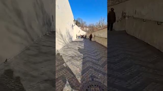 2f6ca66107a3542c1fc49ece916281ef