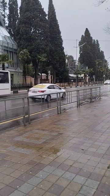 15.03.2024.  какая погода сегодня в вашем городе?) #сочисейч?