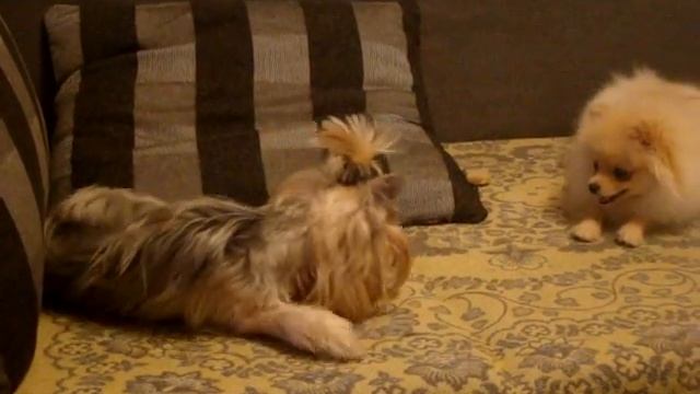 Эля с Нюсей