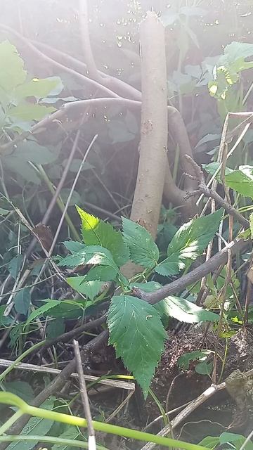 ручная карманная пила