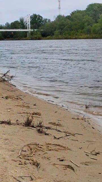 #коп с #nokta #legend