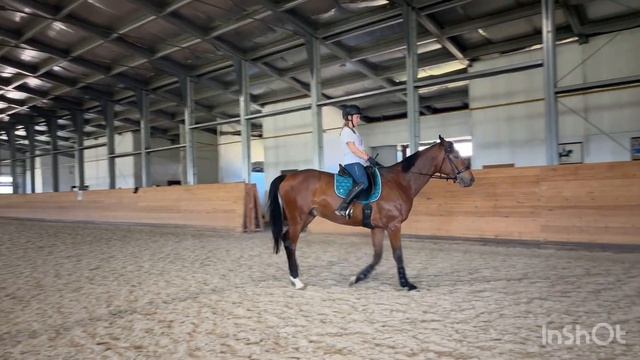 C9431cb2b3e3eb658e6e7a52d7038821