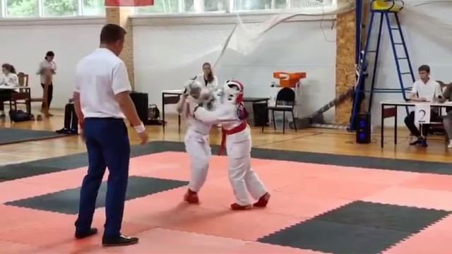Всестилевое каратэ