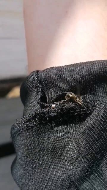 Bees' Reaction To The Color Black 🐝😎 #shortsvideo #bee #honeybee #бал #омарта #пасека #асел #ара