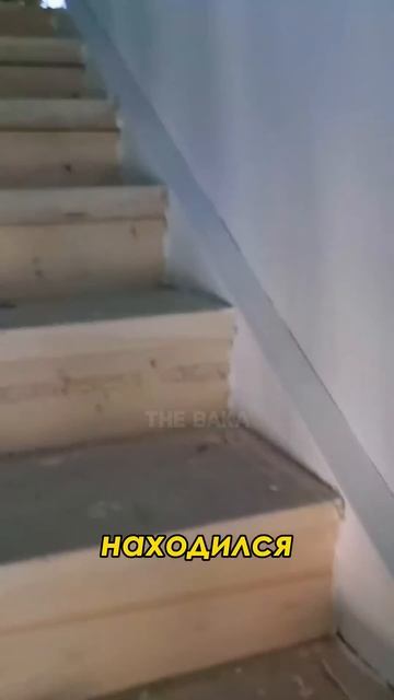 B3e82d87c63a3743a0a45bd9bff17b62