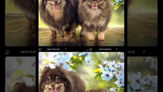 47e2537e5820eadb8b960ade10cc443f