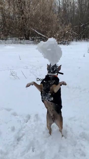 Игры в снежки