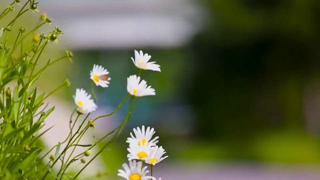 Дуже позитивний вірш 