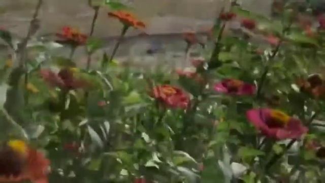 Жезді мешіті