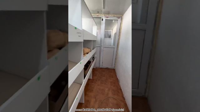 Дәрі ішпей Көктөбе Ана бұлақ суын ішіп емделесіз!