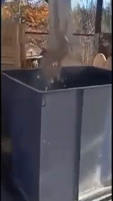 Рубительная машина дровосек М400 (380) высокий выброс, це?