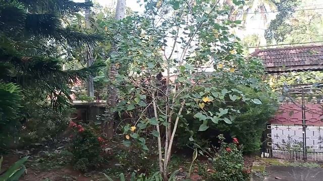 Улочки Индии. #индия