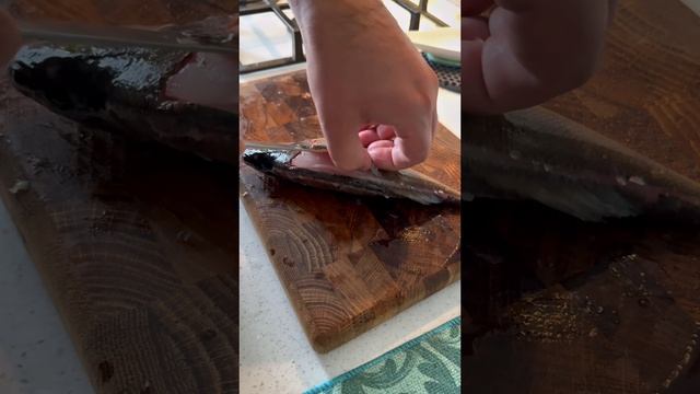 194706abea1583baad826af9e77cfc47