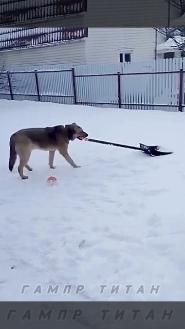 Мощный снегоуборщик.Надежно.Честно.В Срок.ГАМПР ТИТАН