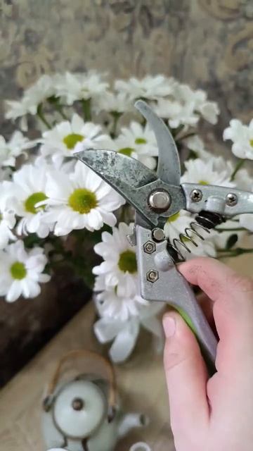 Заточка секатора #заточка #садовод #сад #инструмент