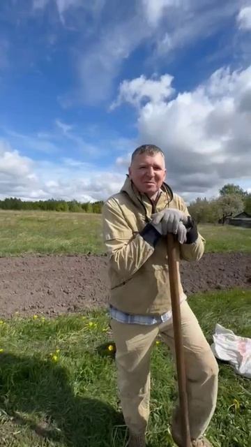 Эмоции от посадки картофеля под лопату