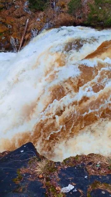 Карелия, Кивач #туризм #природа #nature #карелия #кивач #водопад #автотуризм