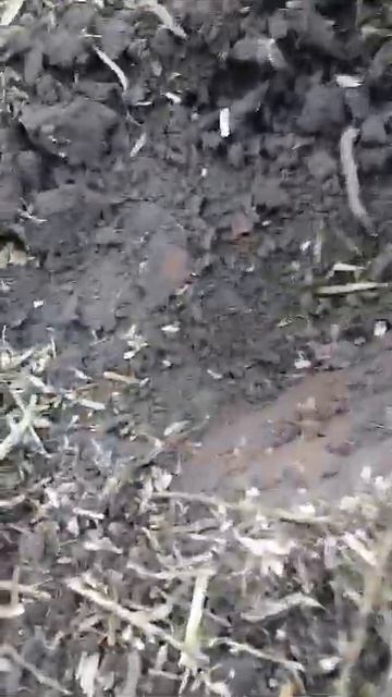 квазар АРМ. ПОИСК МОНЕТ