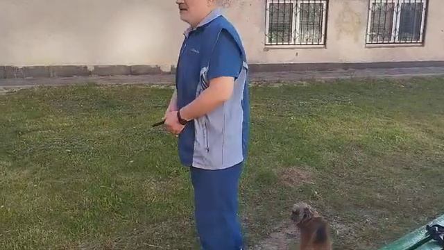 техника куботан-перемещения с ударами