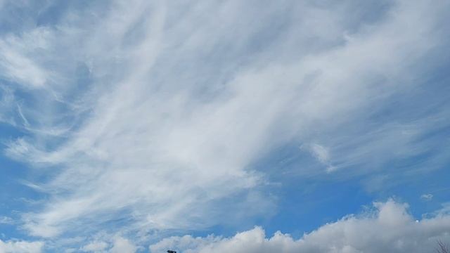 Природа с животными