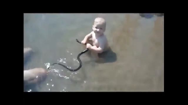 смешное видео