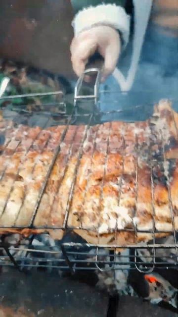 Цыплёнок тапака на мангале