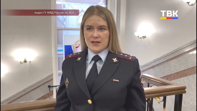 Искитимца задержали за попытку похитить электроинстр