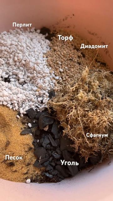 ГРУНТ ДЛЯ МОНСТЕРЫ