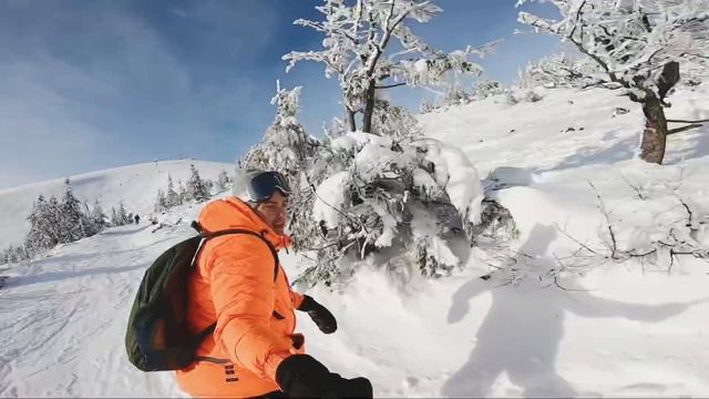 2914e72dc442d45ddd0b822c33f228ad