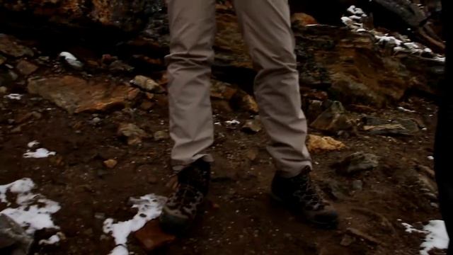 D37193473b34d7299660e11b37c77342