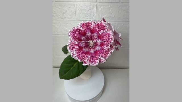 C67a09becf1b5b5dfe9071b7ef8972b0