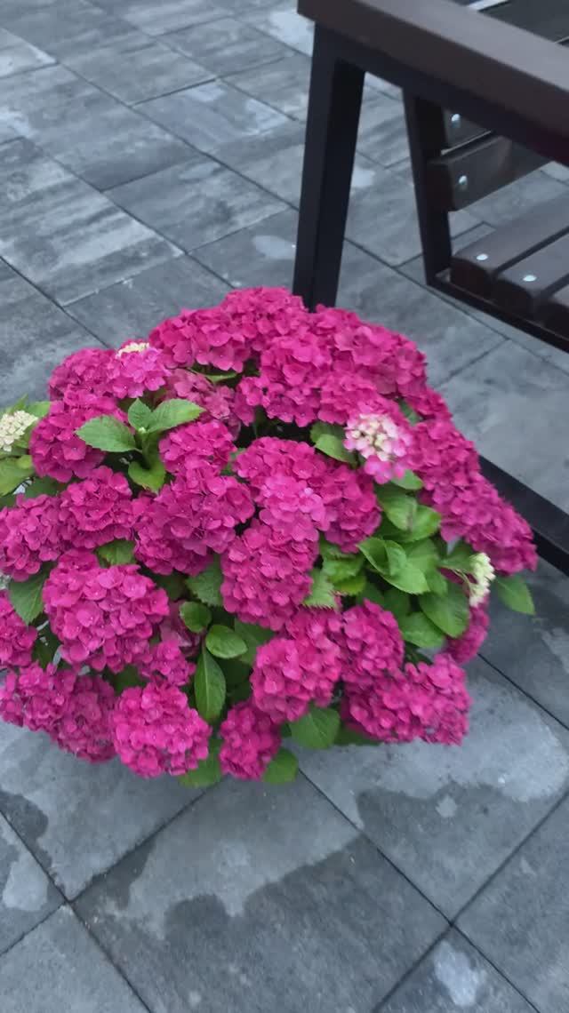 5e5f761bb96b1a479aa8e810c04a6968