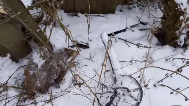 1cc6d3086155c63d93cc4ad681def9ab