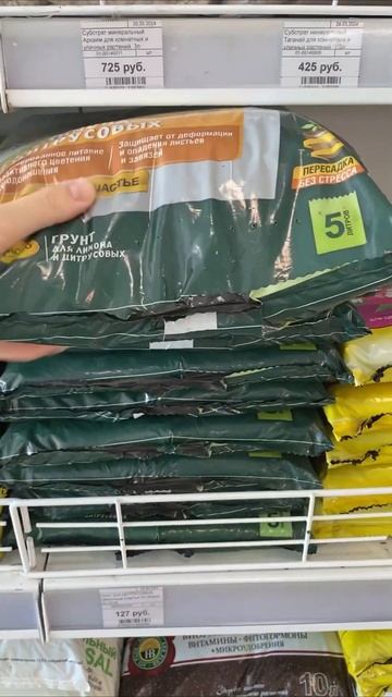 Скупилась #plants #пересадка #растения