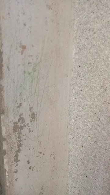 наш кот очень сильно любит точить ногти 🤣🤣