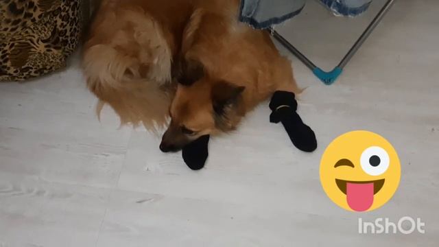 Dd93bd4a74e1a3417ac926ce9c2e80c2