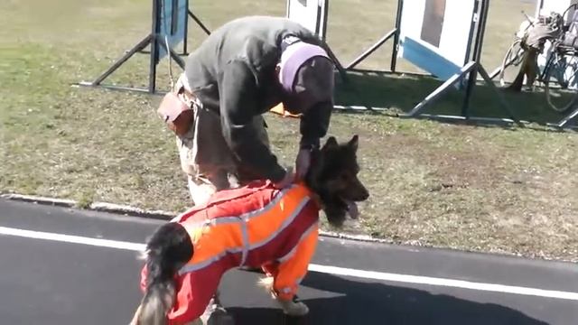 4dd774a15e85299827f4a4104df0bf5b