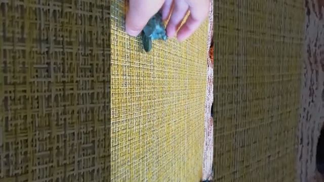 2750f833c66258f1924baf6f85870c81