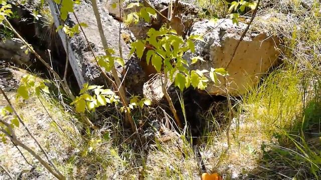 Руины, копаем железо!!!!