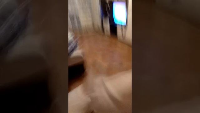 бой подушками 3 часть