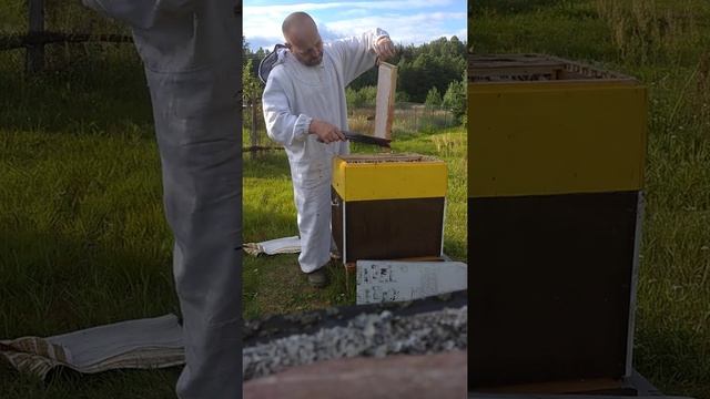 Беларусь. Медовый спас 2020