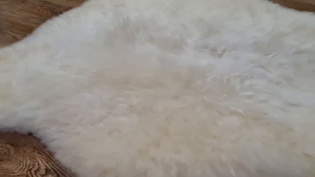 ОВЧИНА БЕЛО-ЗОЛОТИСТАЯ (КОД: 4166)