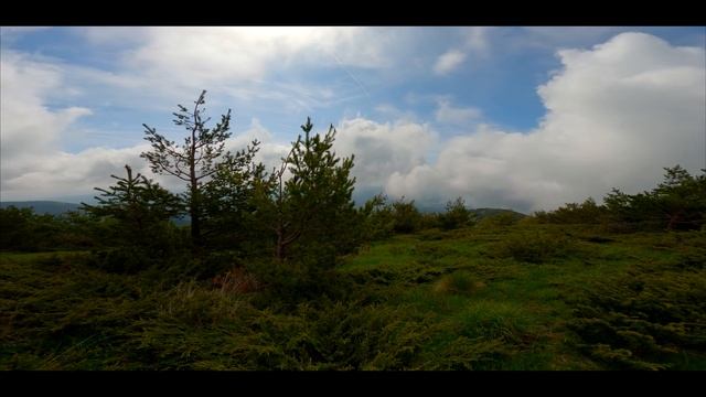 5f72447ab98e34abd76ae48bdc56c479